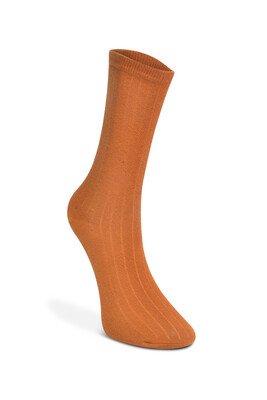 Çekmece 6'Lı Kadın Senın Gercek Renklerin Çorap Canlı - Thumbnail